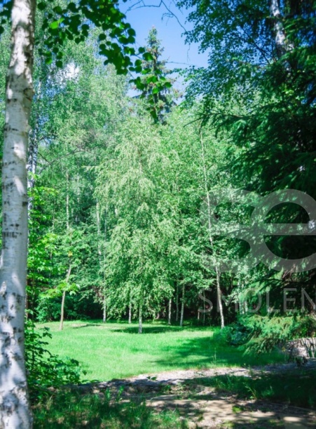 Продажа дома, площадь 1200 кв.м., Минское, пл. уч. 30 сот