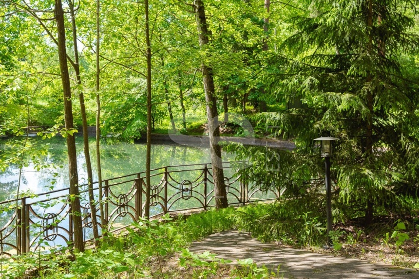 Аренда дома, площадь 830 кв.м., 54, Дмитровское, пл. уч. 65 сот