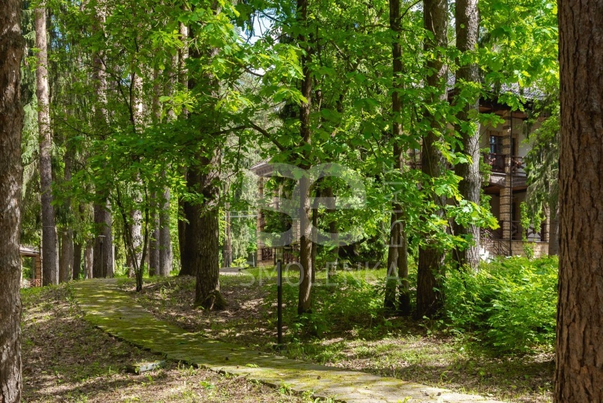 Аренда дома, площадь 830 кв.м., 54, Дмитровское, пл. уч. 65 сот