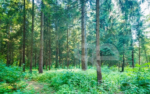 Продажа дома, площадь 450 кв.м., КП Ирбис, Калужское, пл. уч. 20 сот