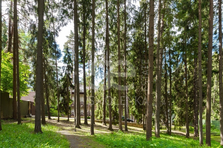Аренда дома, площадь 830 кв.м., 54, Дмитровское, пл. уч. 65 сот