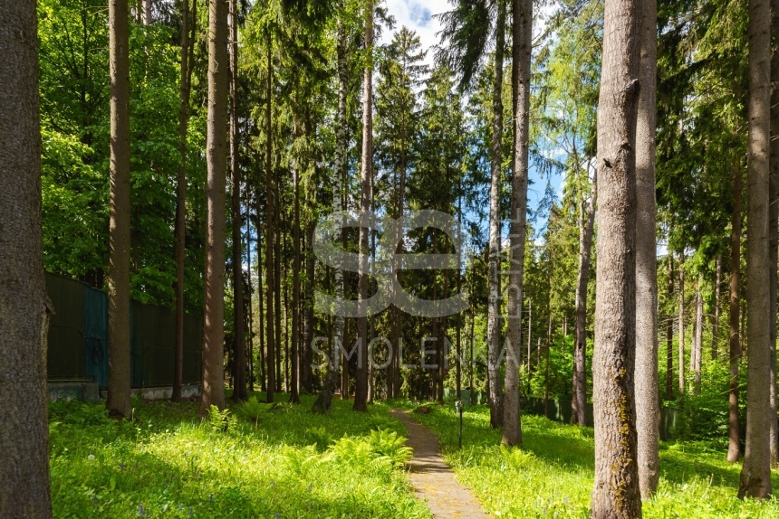 Продажа дома, площадь 830 кв.м., 54, Дмитровское, пл. уч. 65 сот