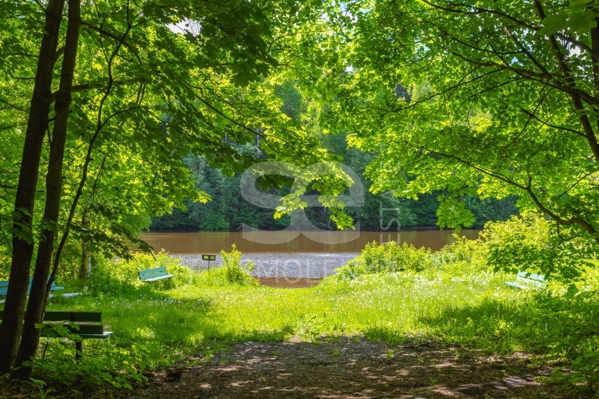 Продажа дома, площадь 830 кв.м., 54, Дмитровское, пл. уч. 65 сот