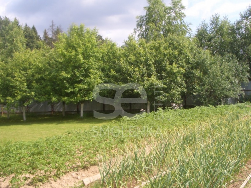 Продажа дома, площадь 620 кв.м., Минское, пл. уч. 28 сот