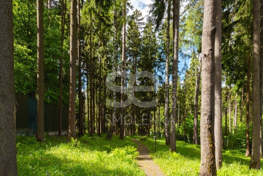 Аренда дома, площадь 830 кв.м., 54, Дмитровское, пл. уч. 65 сот