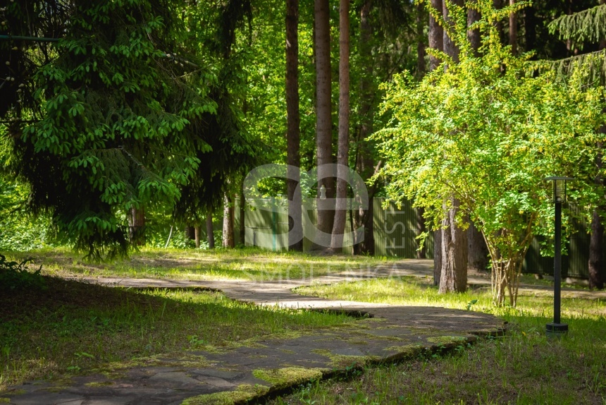 Продажа дома, площадь 830 кв.м., 54, Дмитровское, пл. уч. 65 сот