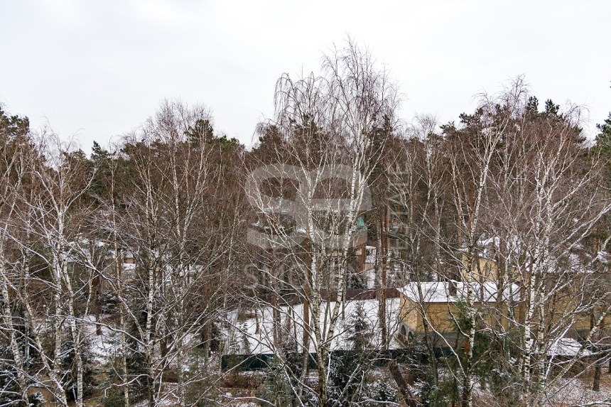 Продажа квартиры, площадь 467 кв.м., 6 этаж, Сосновая ул, 16к1