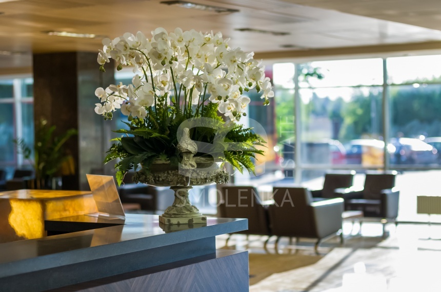 Аренда офиса, площадь 236.9 кв.м., 5 этаж, Очаковское ш, 34, район Очаково-Матвеевское