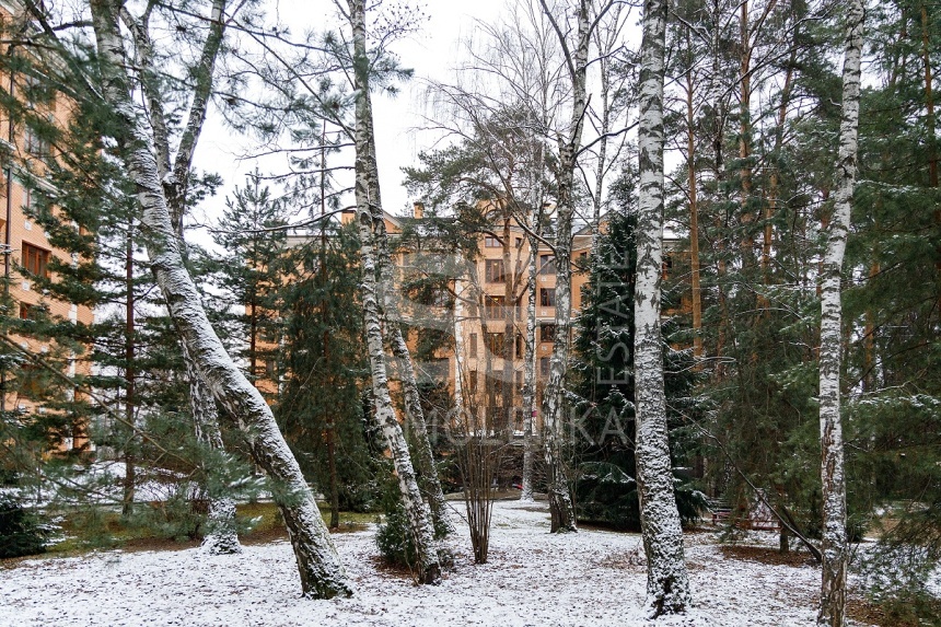 Продажа квартиры, площадь 467 кв.м., 6 этаж, Сосновая ул, 16к1